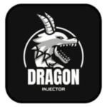 Dragon Injector